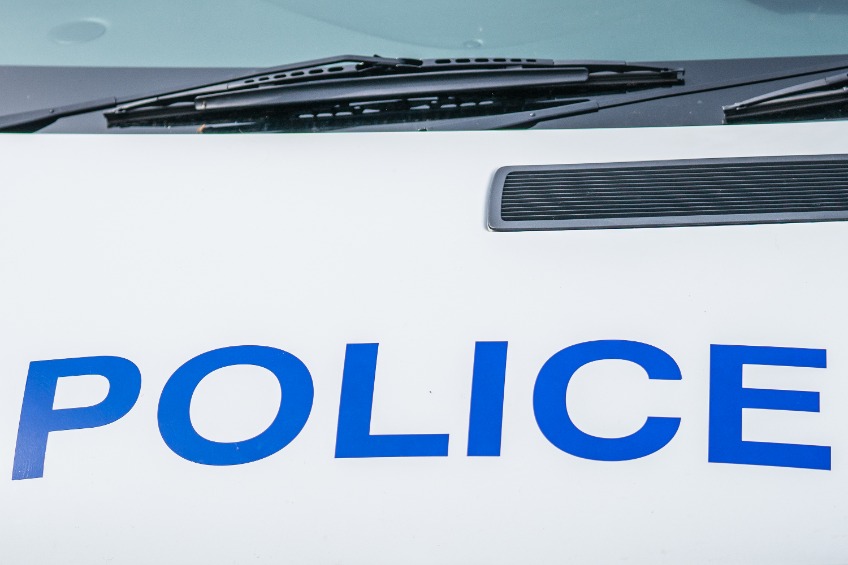 Appeal after more than 20 dead sheep found across Lancashire - Vimarsana News