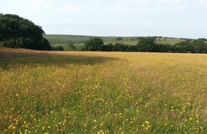 Funding for Exmoor nature friendly farming projects extended - Vimarsana News