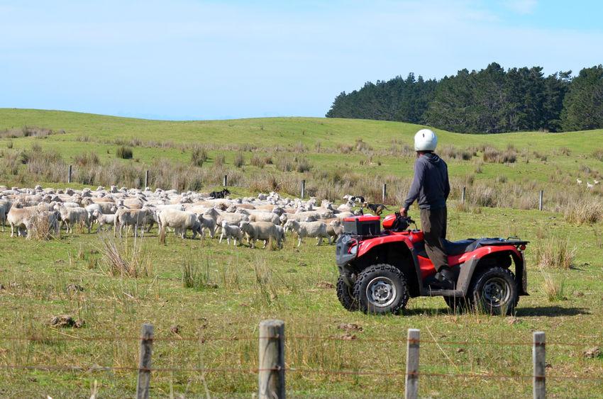 Young farmers rank poor mental health as 'one of biggest hidden problems' - Vimarsana News