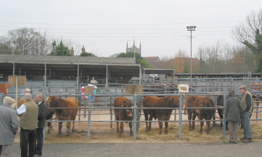 NFU backs relocation of Hailsham mart to new out-of-town site - Vimarsana News