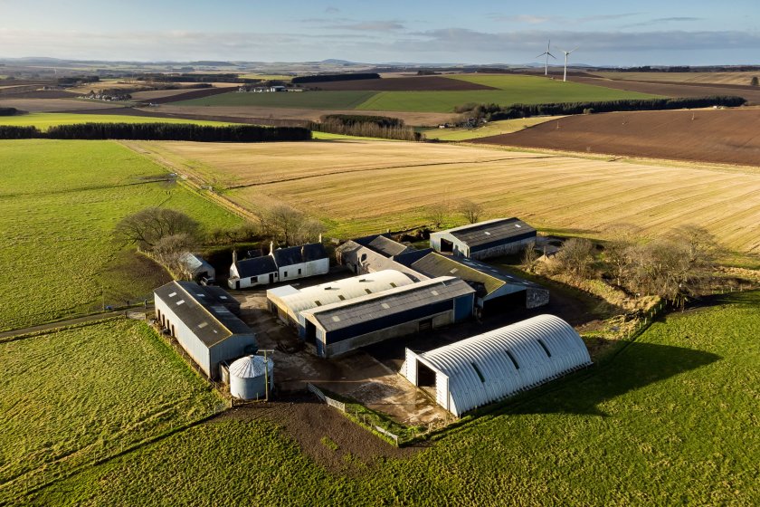 Numerous productive farms for sale in Scotland as momentum gains - Vimarsana News