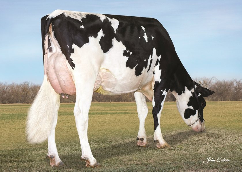 Young sire Wilra retains number one position at top of £PLI ranking - Vimarsana News