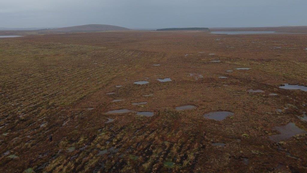 Major review paves way for expanding peatland restoration - Vimarsana News
