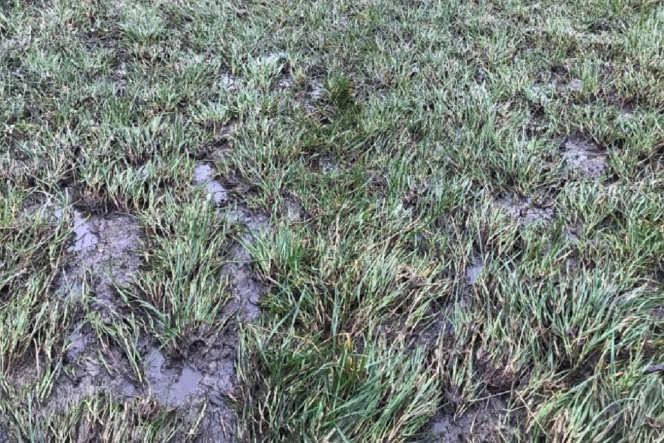 Farm ordered to pay out £24k after slurry pollution in watercourse - Vimarsana News