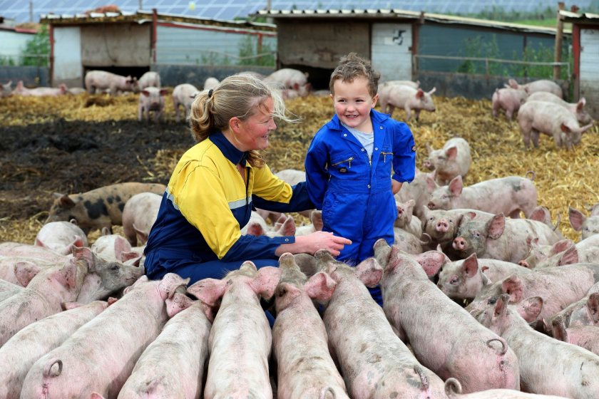 'Anna's Happy Trotters' stars in A-Plan Rural Insurance's Rural Community blog - Vimarsana News