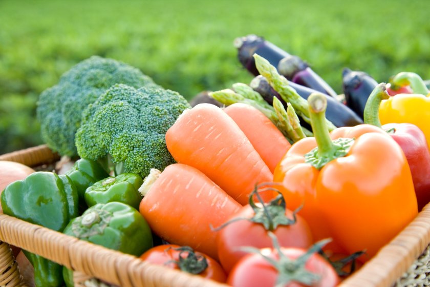 Scottish fruit and veg growers to benefit from £6m in new support - Vimarsana News