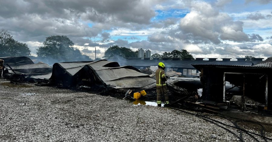 North Yorkshire barn blaze kills 32,000 chickens - Vimarsana News
