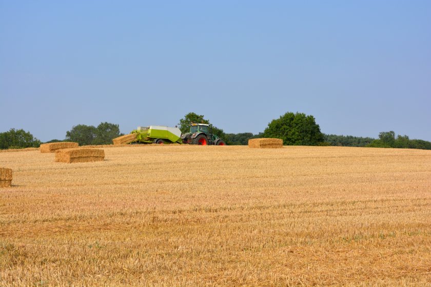Average value of arable land in England reaches new record high - Vimarsana News