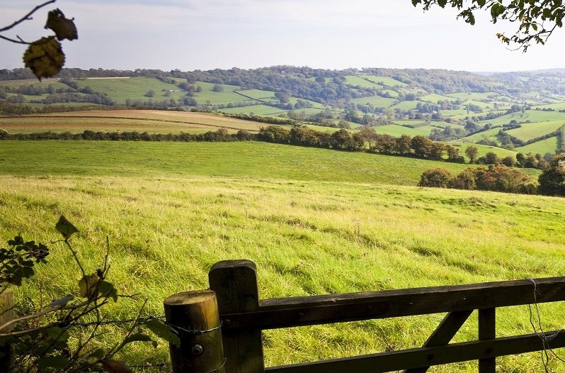 'Stasis' in agricultural let sector across Britain, survey reveals - Vimarsana News