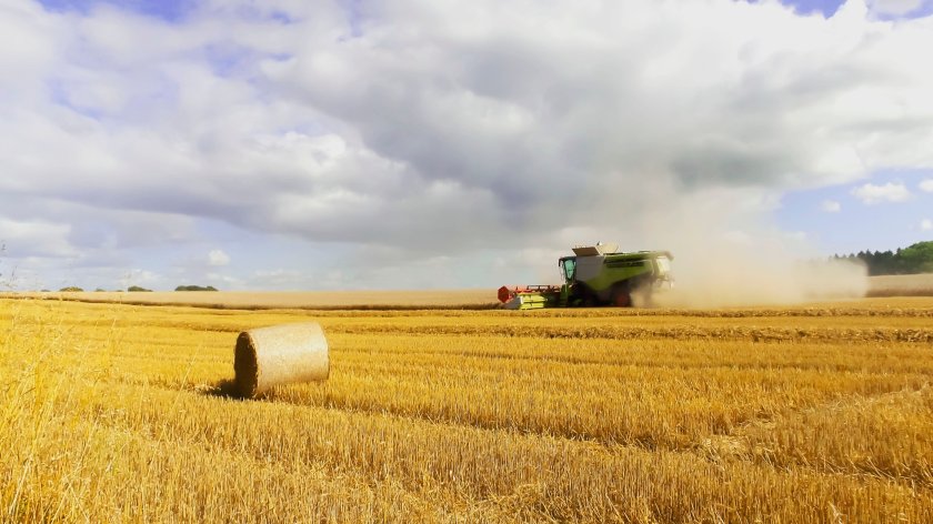 Growers needed for NFU's harvest survey after difficult season - Vimarsana News