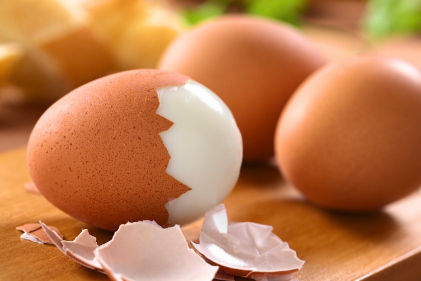 Researchers highlight importance of eggs in sustainable diet - Vimarsana News