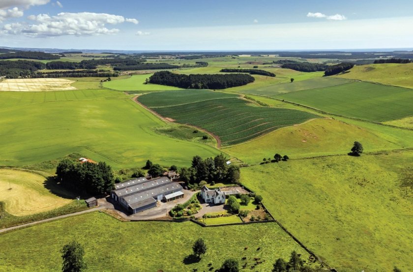 Fife farm in same family for 100 years launches onto market - Vimarsana News