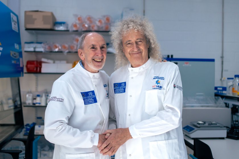 Brian May shares bovine TB experience of farm he sponsors - Vimarsana News