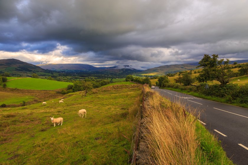 Rural campaigners welcome government's climbdown on net zero - Vimarsana News
