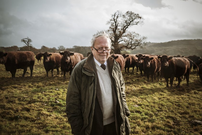 Sussex landowner ups efforts to promote Traditional Sussex Cattle - Vimarsana News