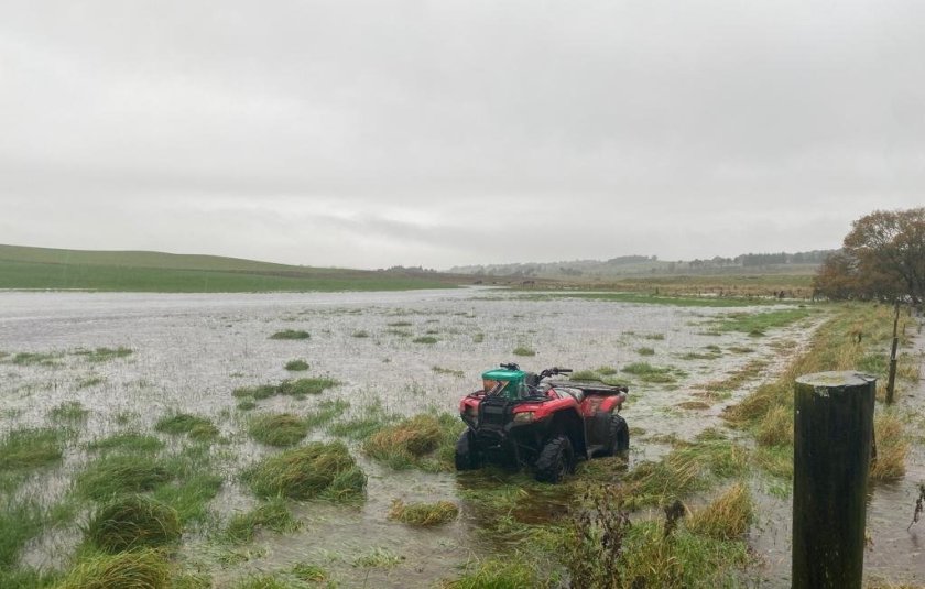 Flood-hit farmers in Scotland can now apply to £100,000 fund - Vimarsana News