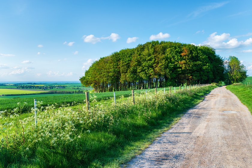 Rural campaigners welcome Labour's U-turn on right to roam policy - Vimarsana News