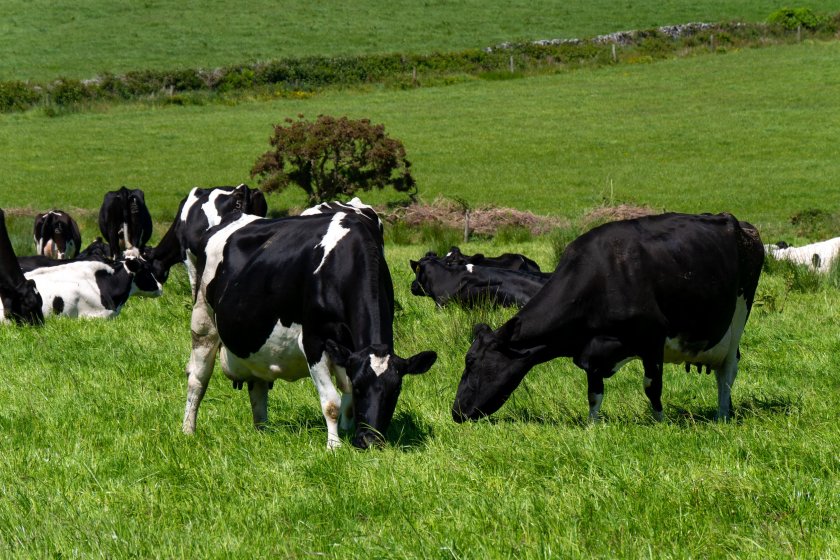 New AI-enabled tool aims to enhance grassland management - Vimarsana News