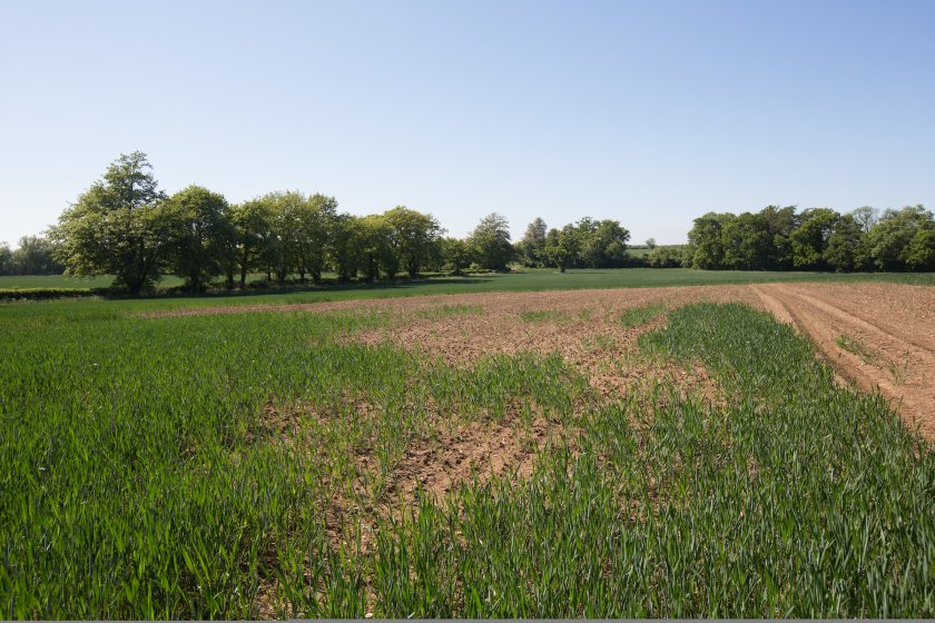 Farmers start trials to help develop new precision slug control solutions - Vimarsana News