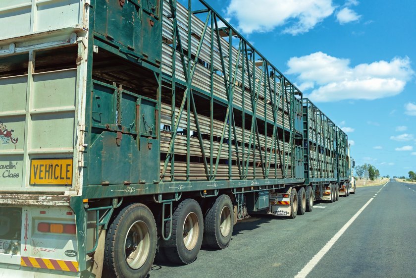 Campaigners urge new Defra Secretary to prioritise live export ban - Vimarsana News