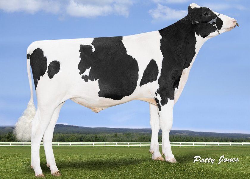 New genetic choices for spring grazing herds - Vimarsana News