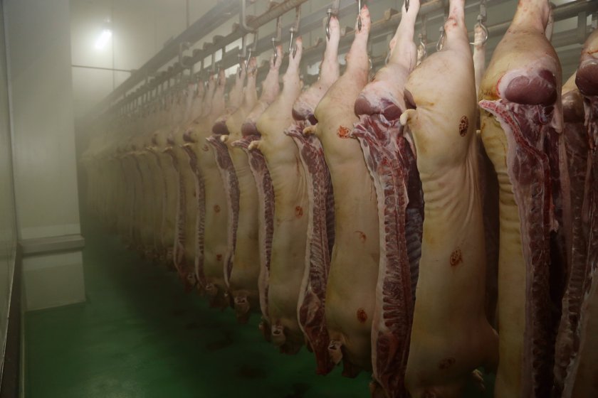 Meat processors raise concern over new government immigration rules - Vimarsana News