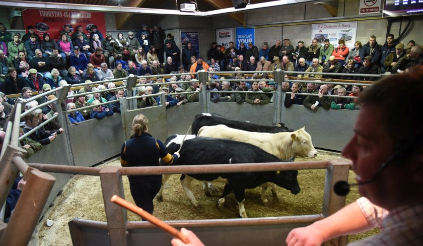 More details unveiled for new livestock market prices platform - Vimarsana News