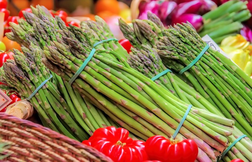 Agroecological market gardens could boost UK food, report says - Vimarsana News