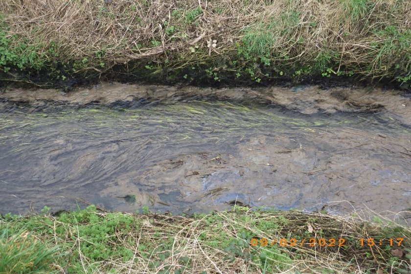 Somerset farm ordered to pay out £20,000 after polluting stream - Vimarsana News