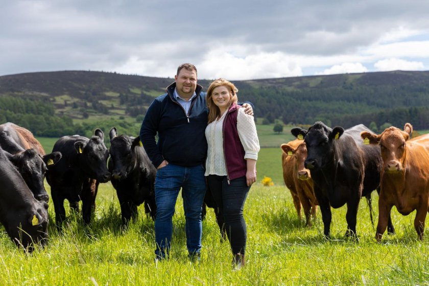 Often overlooked bull fertility test key to maximising suckler margins - Vimarsana News