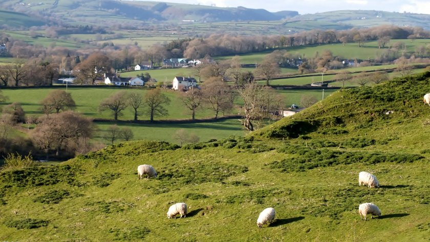 Plans to omit designated sites from Wales' SFS branded 'illogical' - Vimarsana News