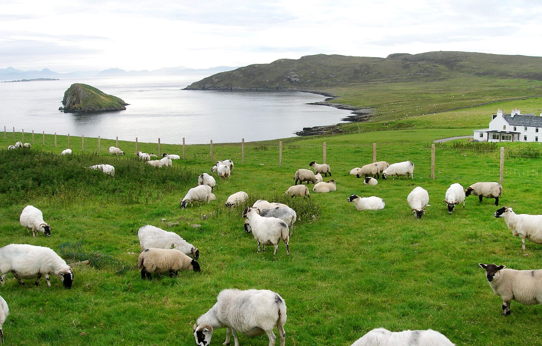 Scottish landowners have legal duty to submit entries or face £5k fine - Vimarsana News