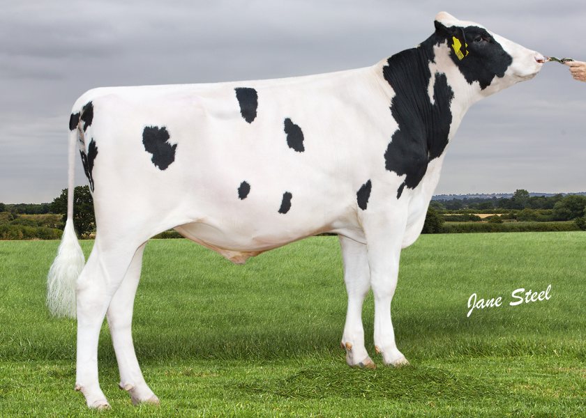 Captain sons dominate AHDB's latest £PLI rankings - Vimarsana News