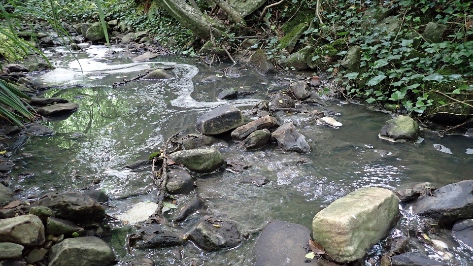 Somerset farmer ordered to pay out £5,000 after river pollution - Vimarsana News