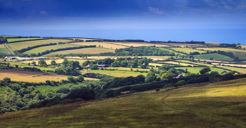 Average price of bare agricultural land hits new all-time high - Vimarsana News