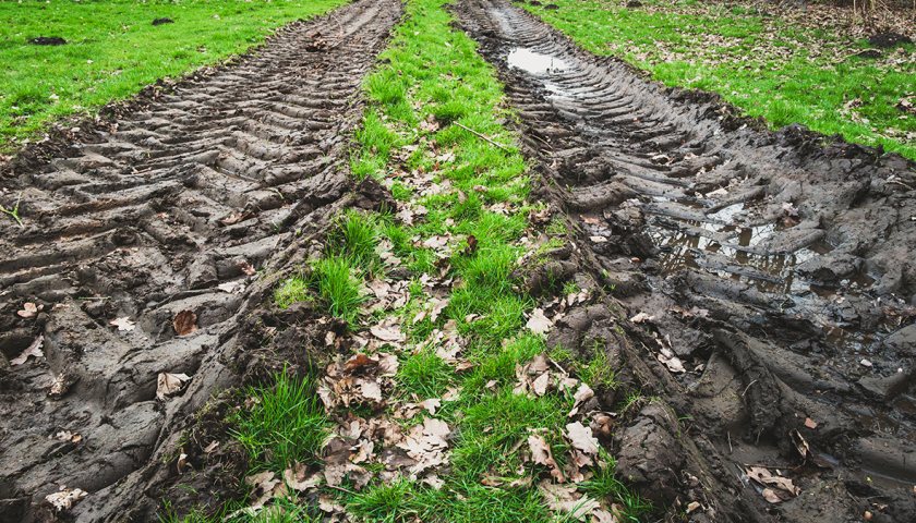 Union asks for interventions to help Welsh farms hit by wet weather - Vimarsana News