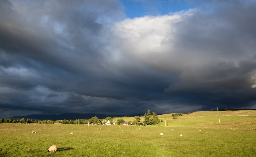 NFU Scotland asks for government help in response to poor spring - Vimarsana News