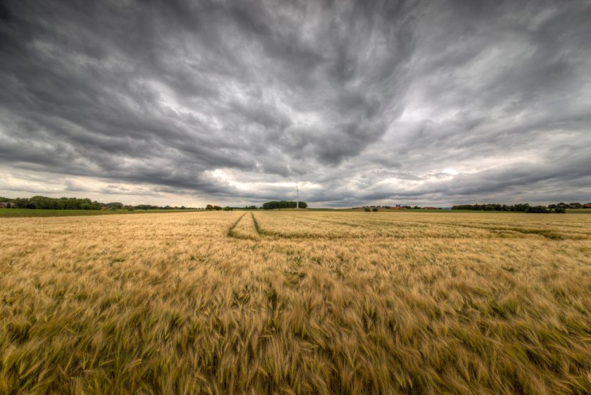 UK's relentless rain is affecting growers' contracts, lawyers say - Vimarsana News