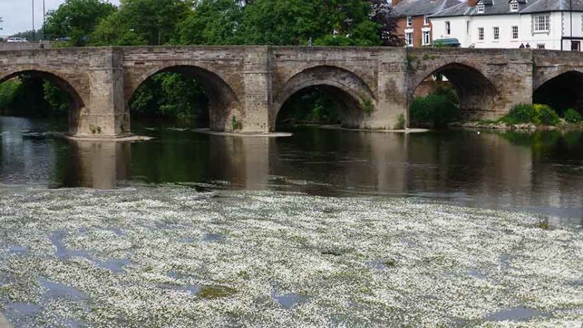 River Wye pollution legal claim to include major food producer Cargill - Vimarsana News