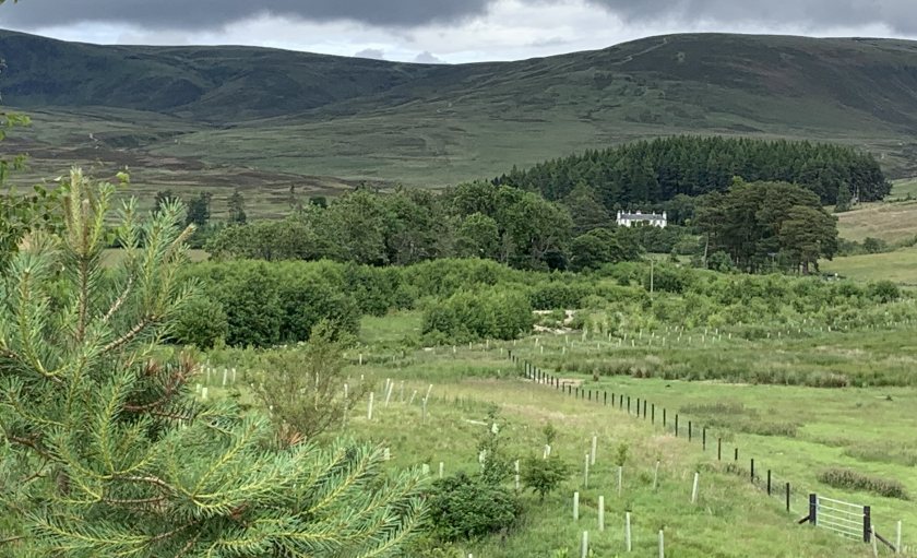 Angus estate to help farmers integrate trees into their business - Vimarsana News