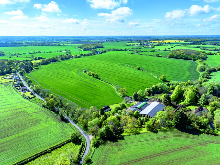 Essex arable farm extending to 900 acres come to market - Vimarsana News