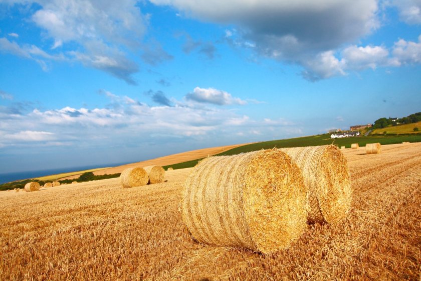Annual Scottish harvest survey launched amid 'challenging' time
