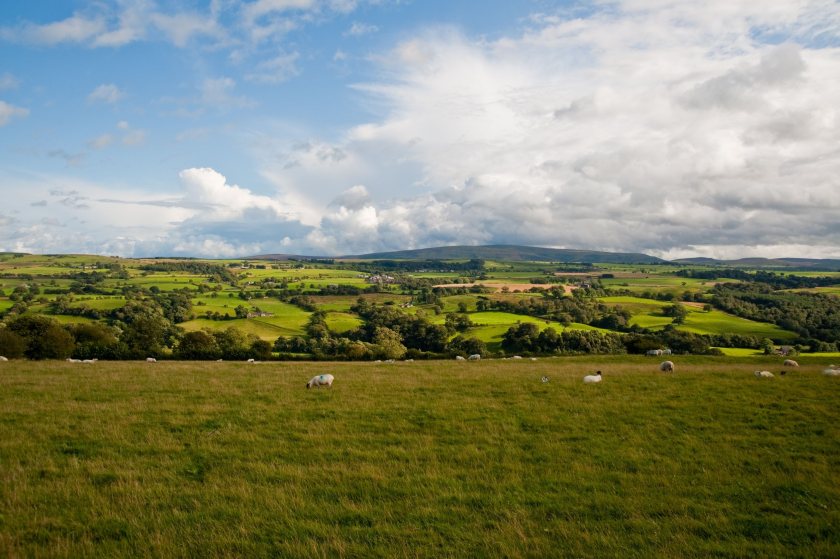 RSPB warns 'time is running out' to ensure Higher Tier CS schemes in place