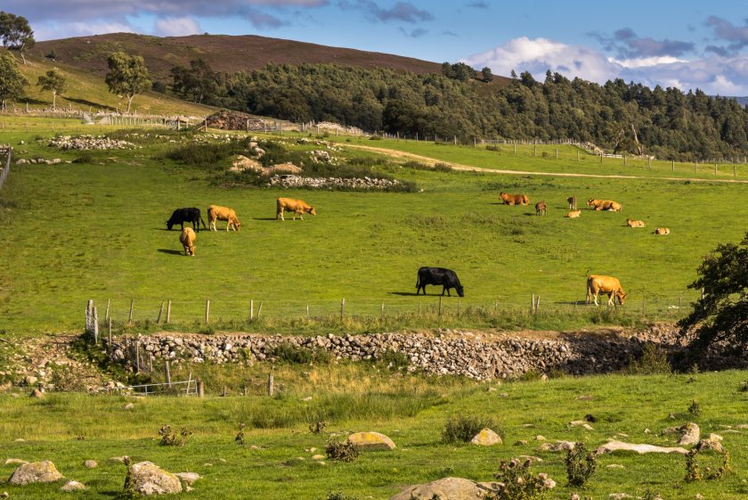 Most people in Galloway reject national park status, survey says