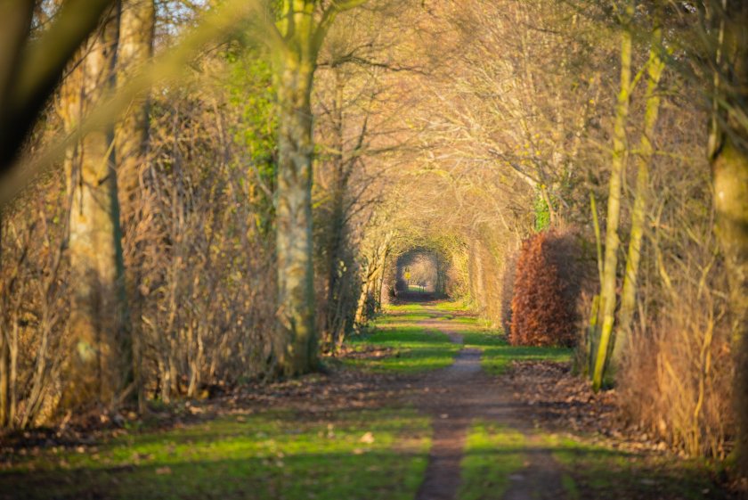 NFU seeks further six years on National Trust's council