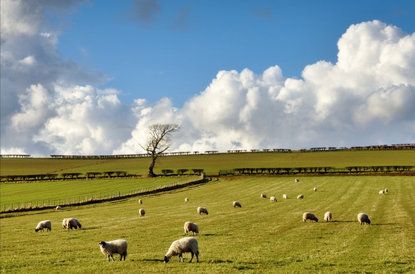 www.farminguk.com