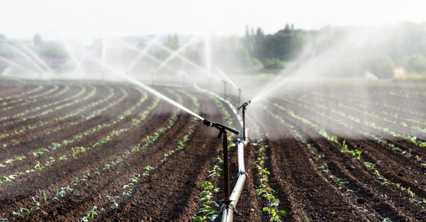 Water security on farms gets £1.1m government backing