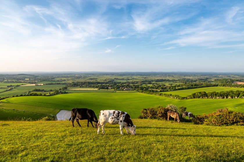 Farmers defend industry after 'irrelevant' claim in The Economist