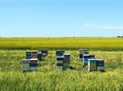 FarmingUK