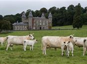 FarmingUK